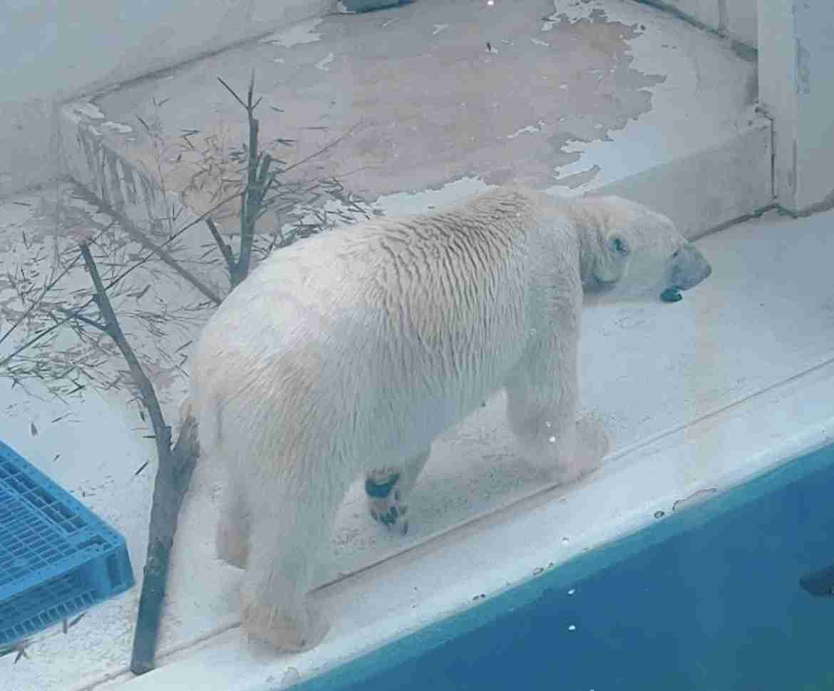 動物園を語るトピ Part2