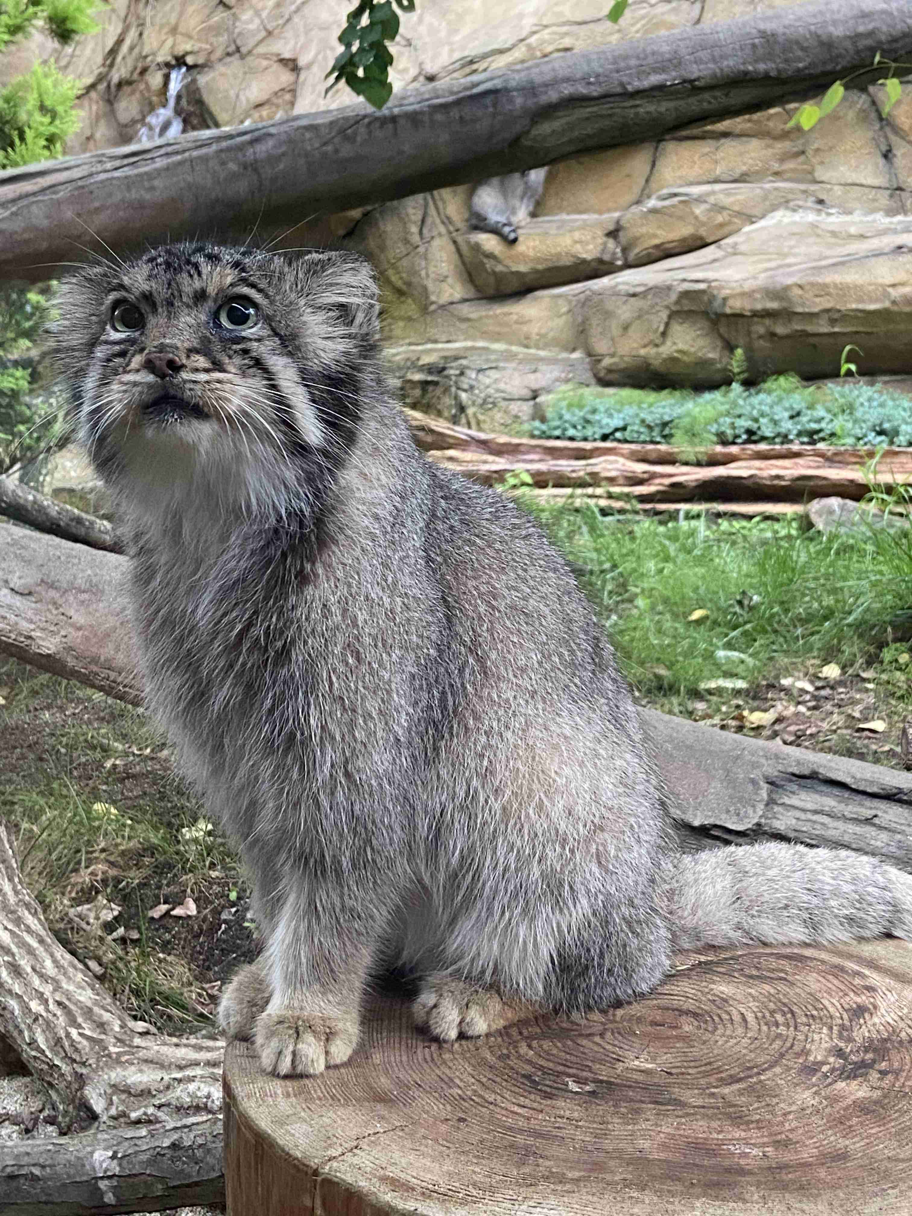 動物園を語るトピ Part2
