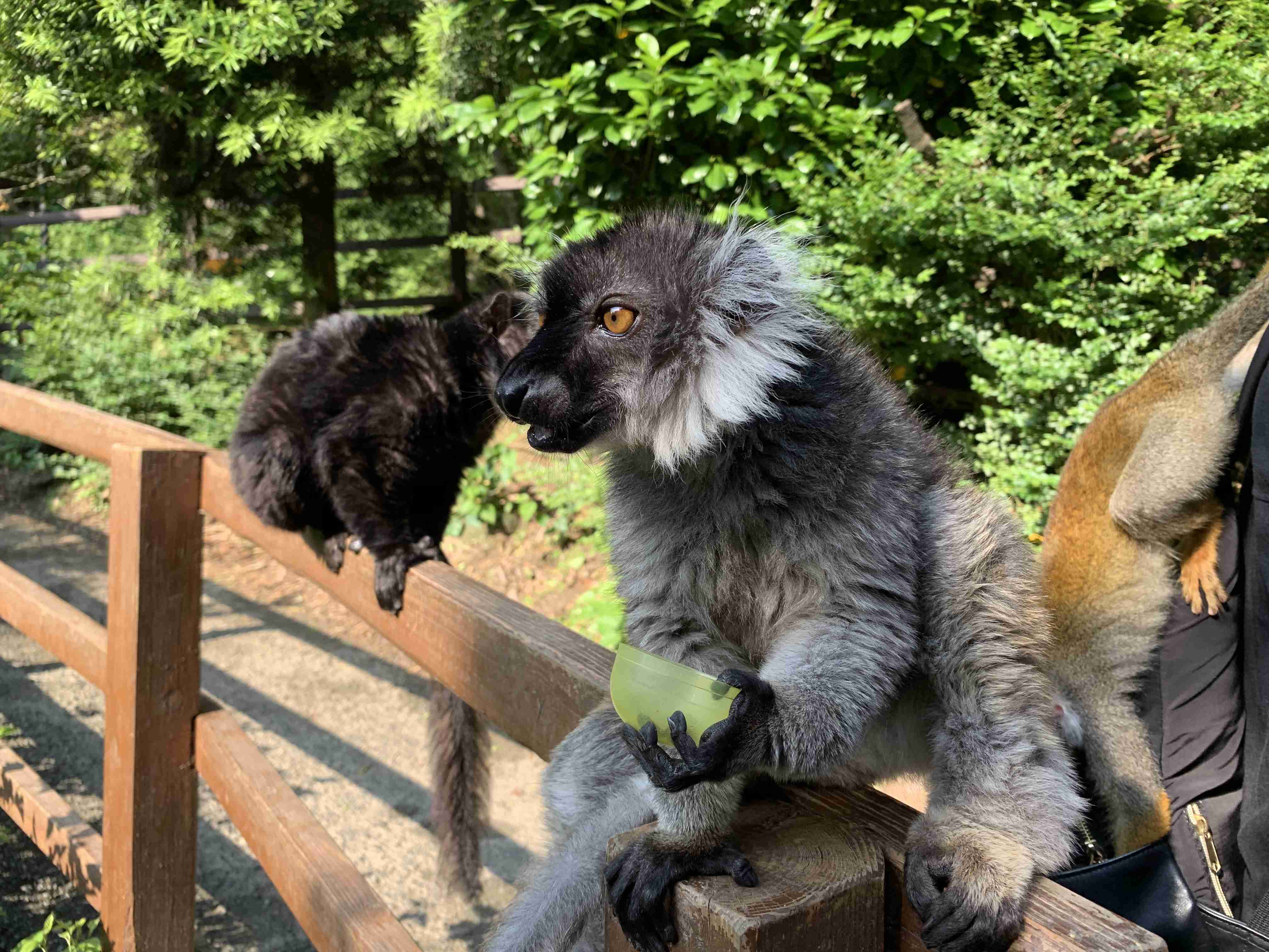 動物園を語るトピ Part2