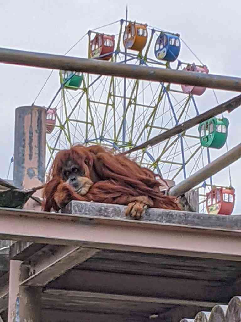 動物園を語るトピ Part2