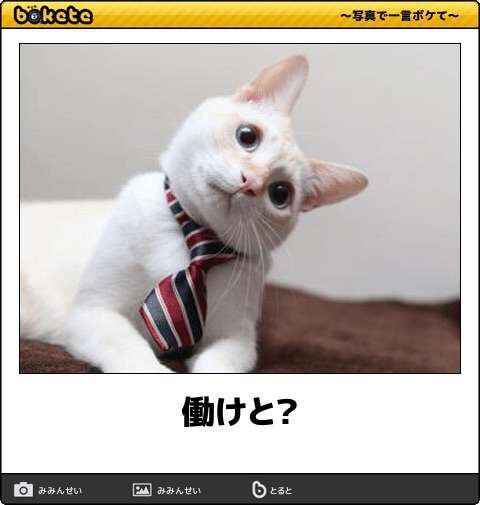 仕事をやめて起こった変化