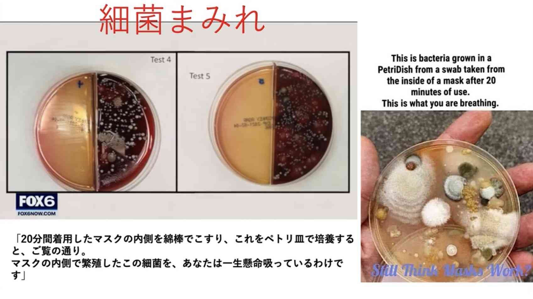 沖縄「観光客が陽性」増加 検査結果待たずに飛行機搭乗か 広がる困惑