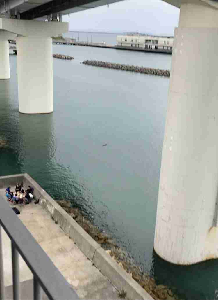 沖縄「観光客が陽性」増加 検査結果待たずに飛行機搭乗か 広がる困惑