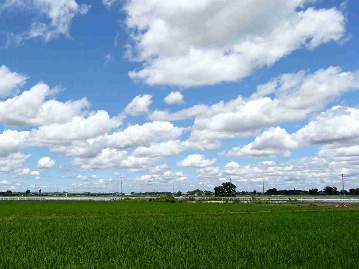 埼玉の住宅、血を流して倒れる男女4人…男女と女児の計3人が死亡