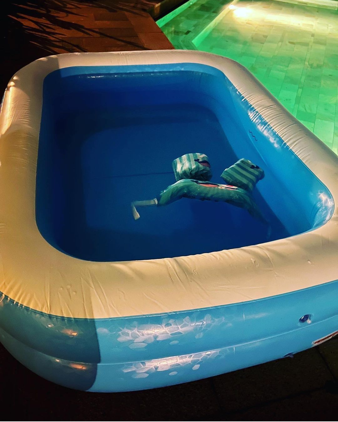 ペット連れ可のホテルに泊まったことある人