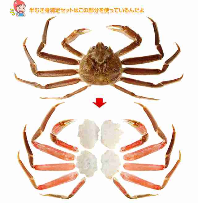 体形隠せる、着替えやすい…。「ジェンダーレス水着」通販でも好調