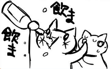 彼氏や旦那の飲みに行く頻度