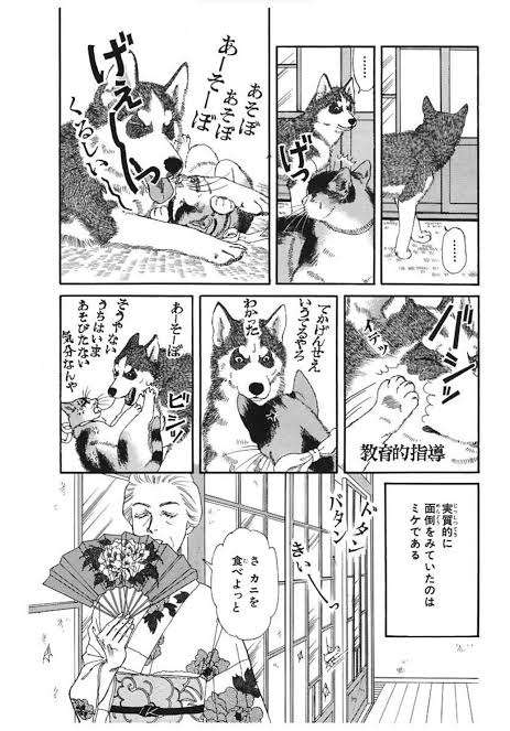 保護犬猫の里親断られた人