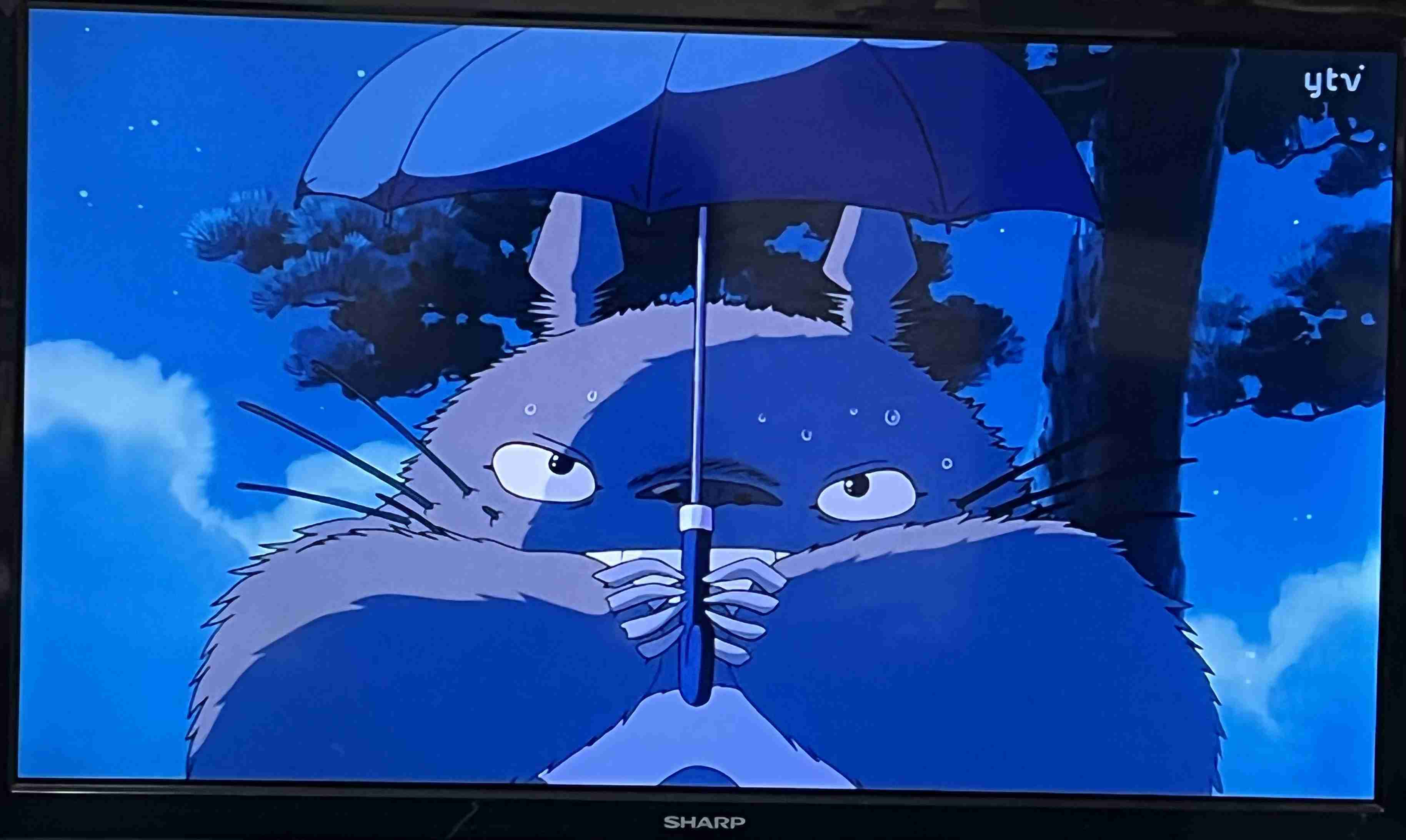 【実況・感想】金曜ロードショー「となりのトトロ」