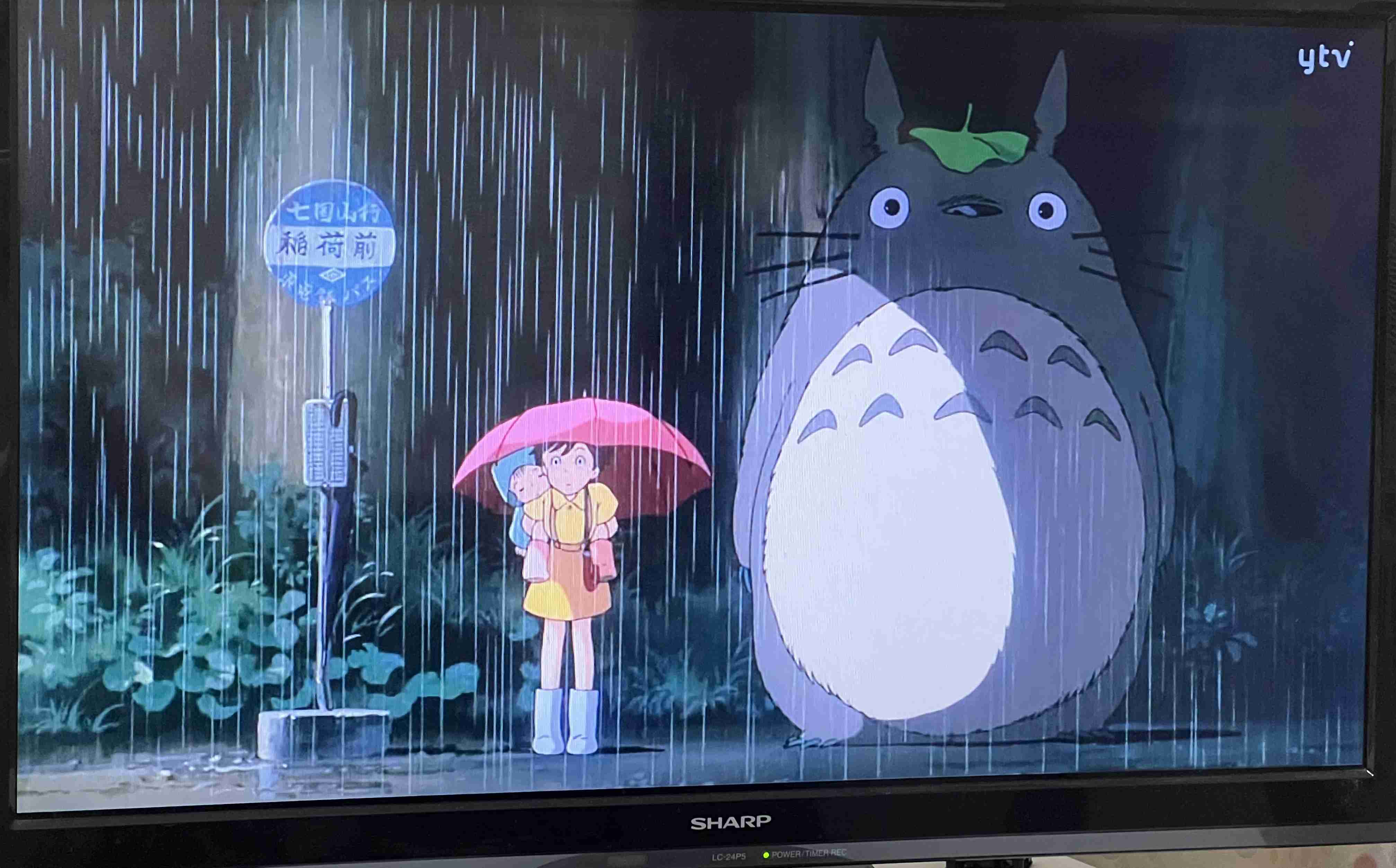 【実況・感想】金曜ロードショー「となりのトトロ」