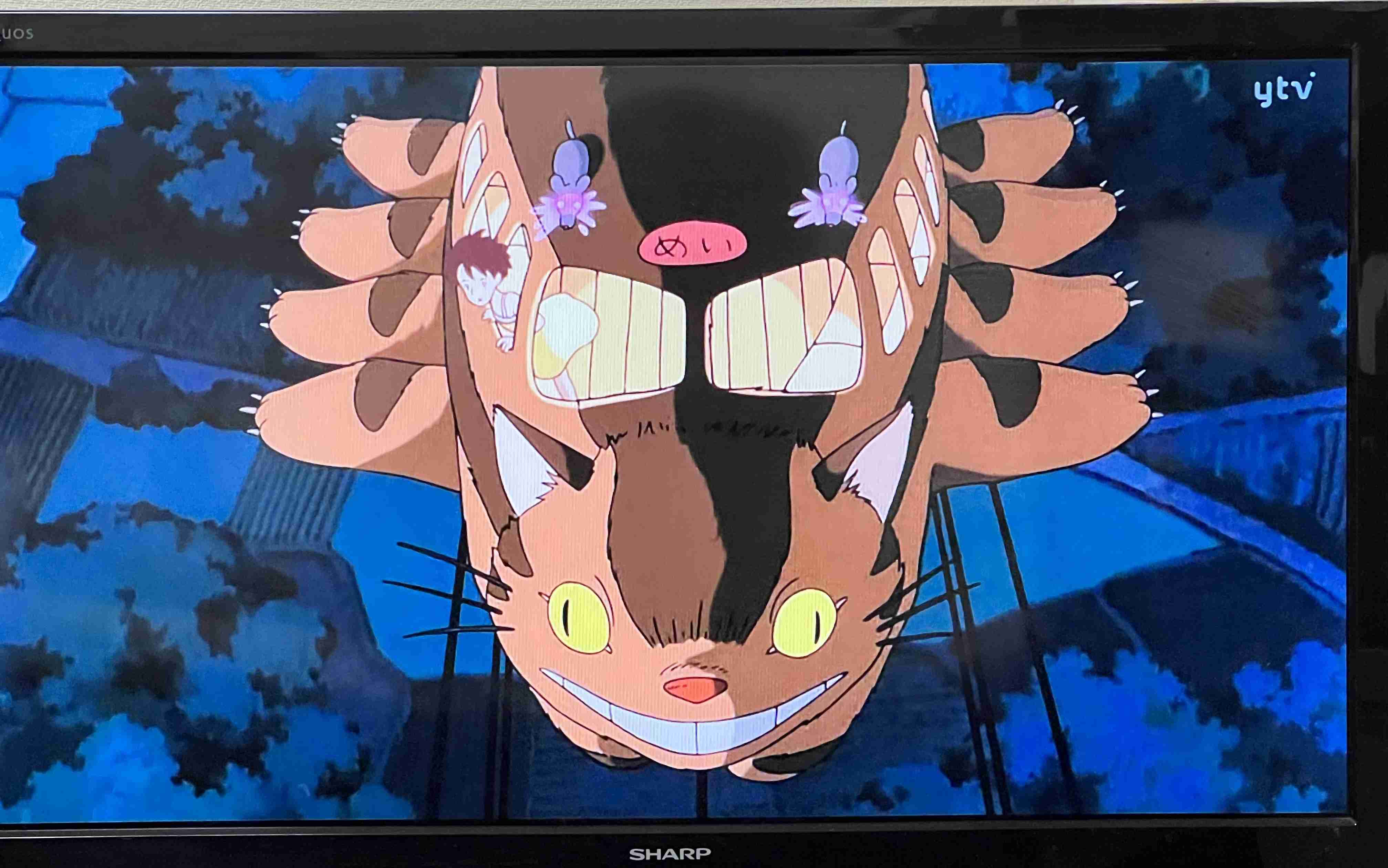 【実況・感想】金曜ロードショー「となりのトトロ」