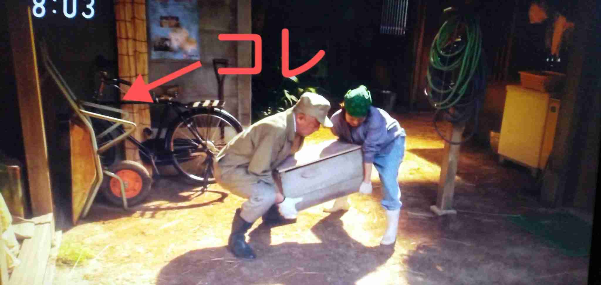 朝ドラ【ちむどんどん】第19週「愛と旅立ちのモーウイ」