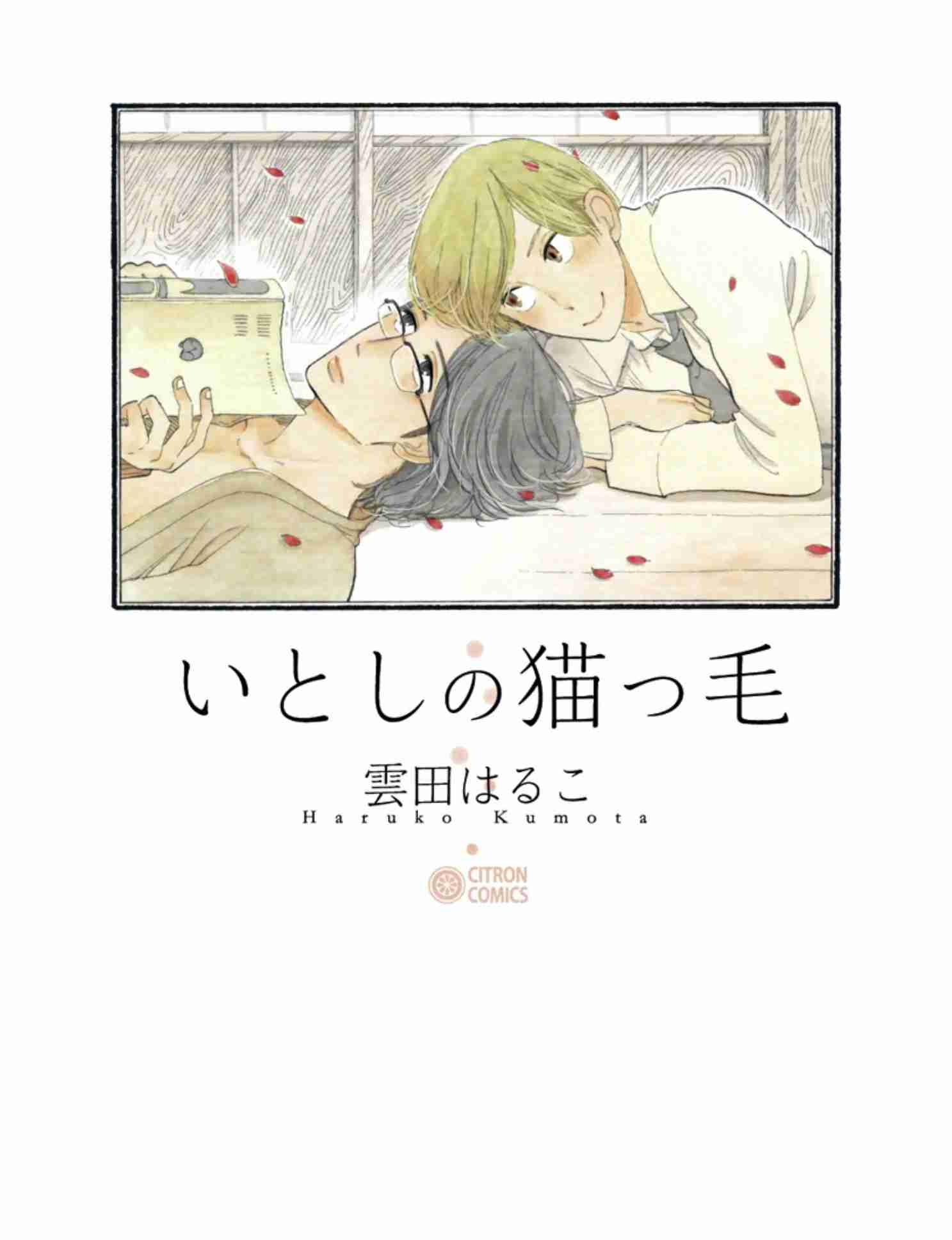 【定期】商業BLが好きな人part17【閲覧注意】