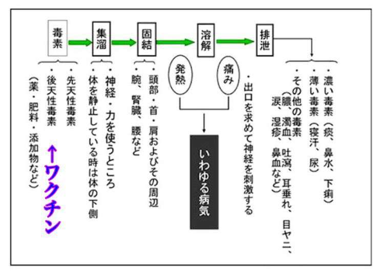 国葬経費 2億5000万円 一般献花実施で調整