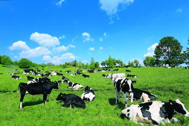 北海道の乳製品を語る