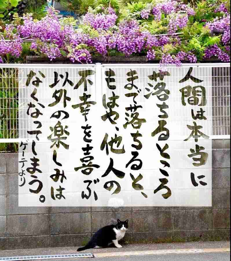 菅義偉前首相 安倍元首相は「寂しがり屋でもありました」、銃撃の一報受け「そばにいてやりたい」と奈良へ