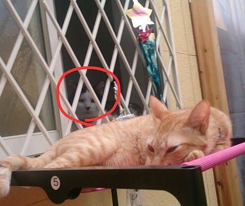 ホラー・オカルト総合【好きな人話そう】