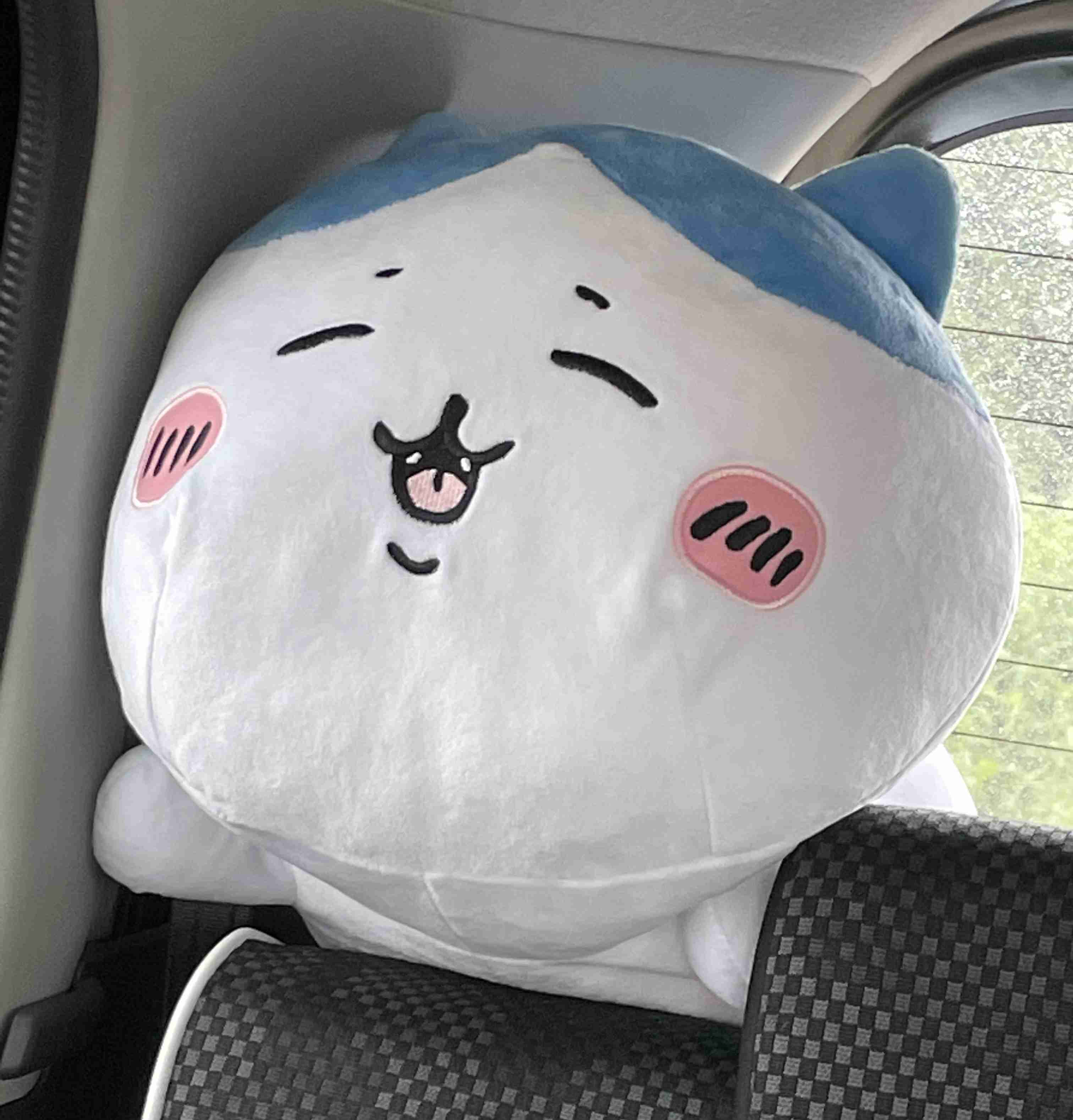 クレーンゲームで最近何をゲットしましたか