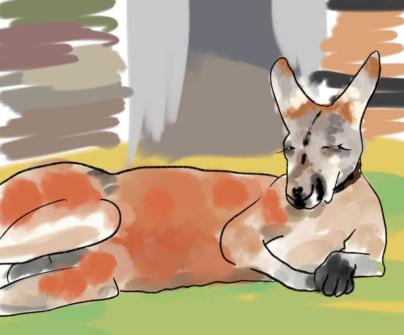 お絵描きトピ！お題の画像を描きましょう🎨