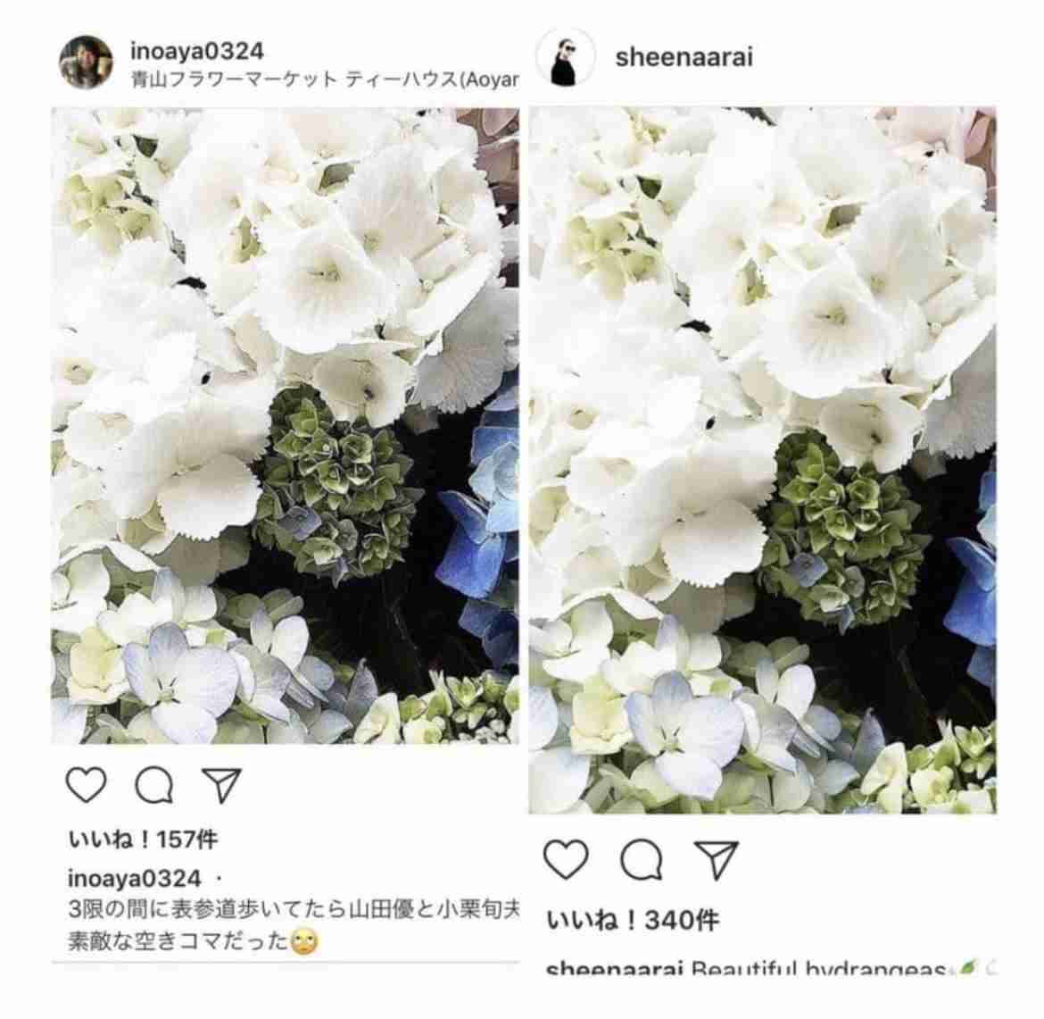 井口綾子　4年間所属のレプロと契約満了「25歳という節目の歳に…新しい環境でまた新たな気持ちで」