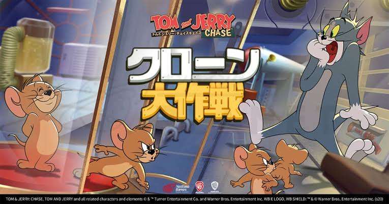 猫の殺処分は犬の約5倍、6割は子猫という悲劇 背景にある無責任な餌やり