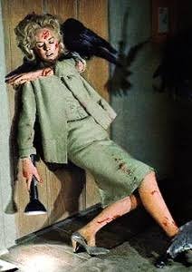 猫の殺処分は犬の約5倍、6割は子猫という悲劇 背景にある無責任な餌やり