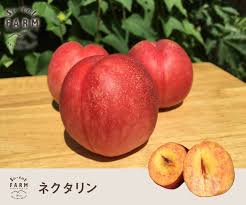 教えて！あなたの街のマイナーな夏野菜・果実