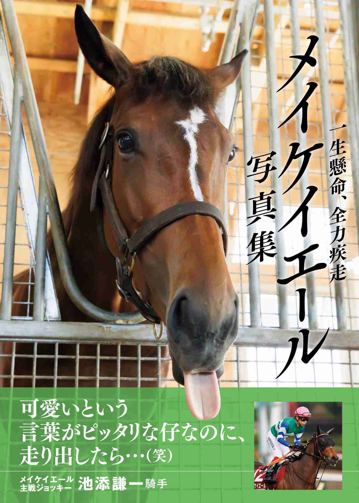 【競馬】UMAJO集まれ！ Part17
