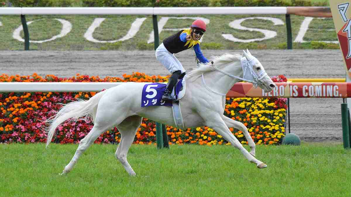 【競馬】UMAJO集まれ！ Part17