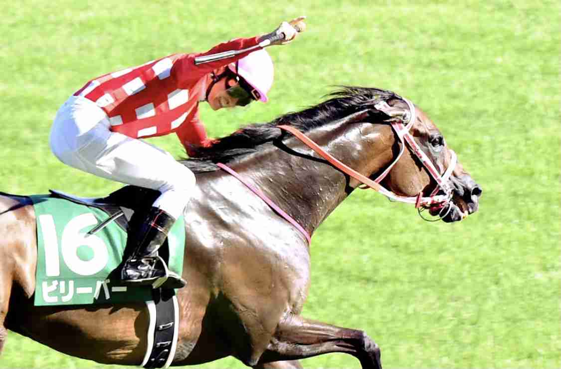 【競馬】UMAJO集まれ！ Part17