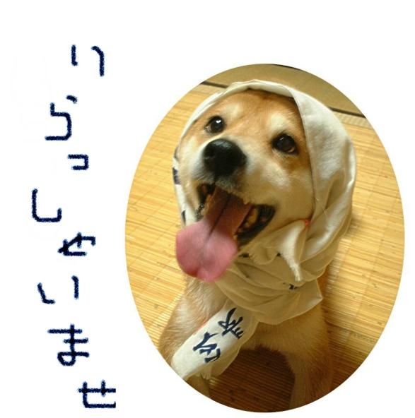 気を遣ってしまう接客サービス