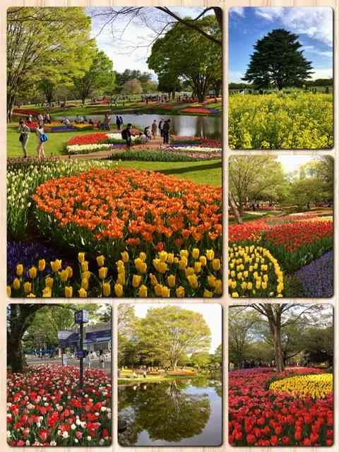 オススメの公園・植物園