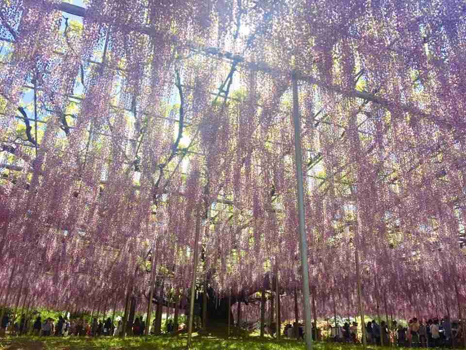 オススメの公園・植物園