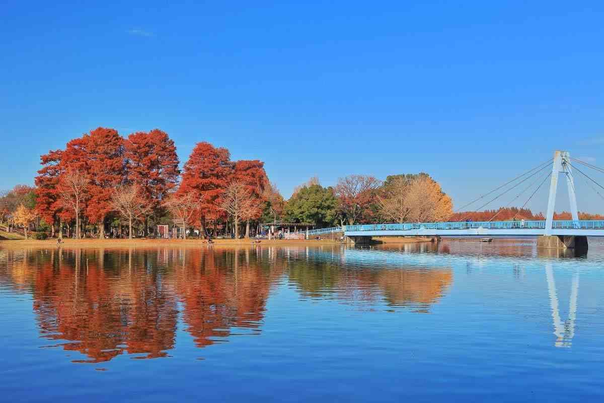 オススメの公園・植物園