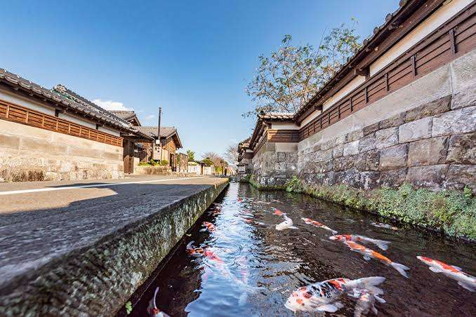 九州一周旅行に行くぞ!