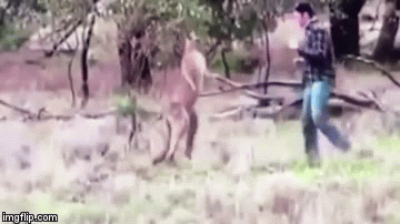 クマに体当たり 男女けが 散歩中に襲われる 宮城・仙台市