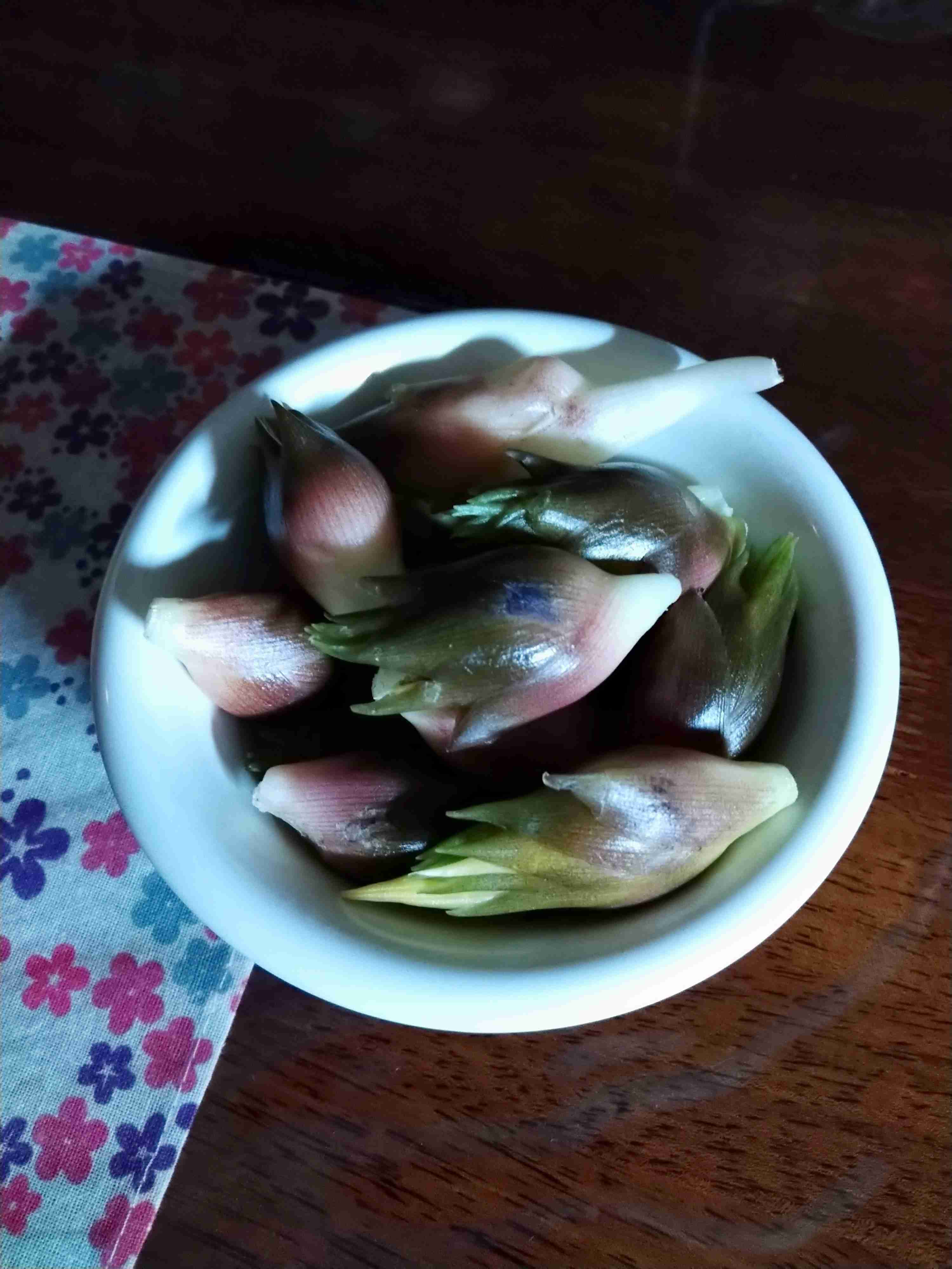みょうが　茗荷　myoga
