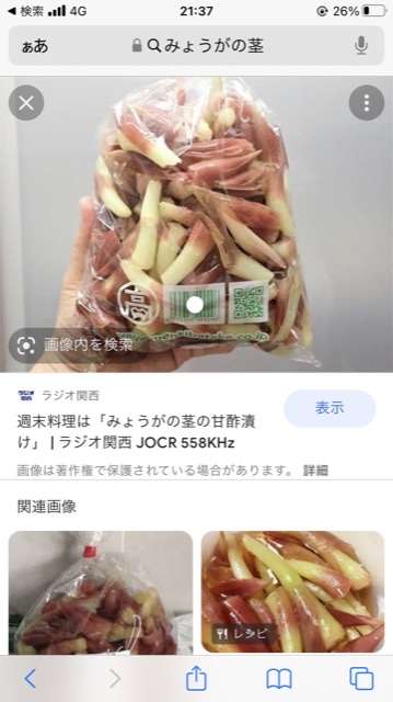 みょうが　茗荷　myoga