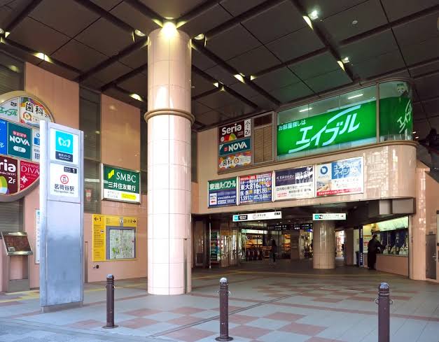 みょうが　茗荷　myoga