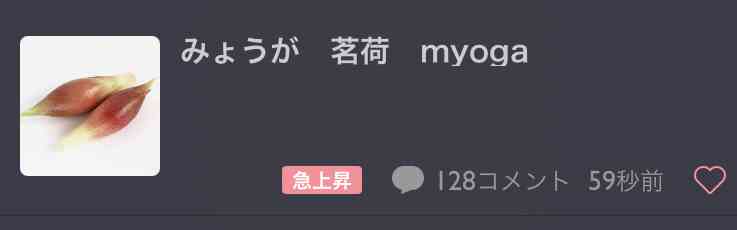 みょうが　茗荷　myoga