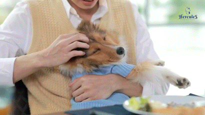 【定期】2gether the seriesについて話そうPart29【タイBL】