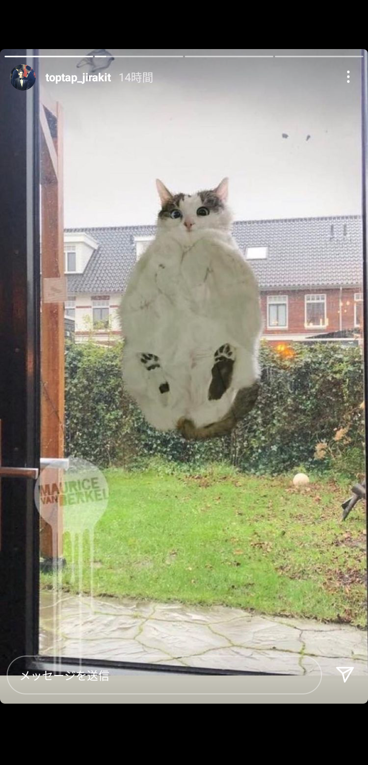 【定期】2gether the seriesについて話そうPart29【タイBL】