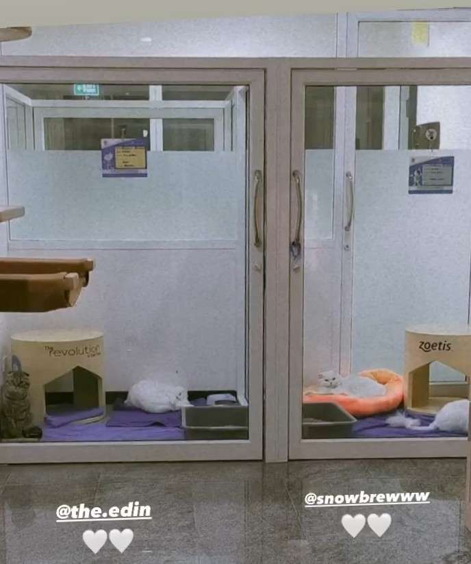 【定期】2gether the seriesについて話そうPart29【タイBL】