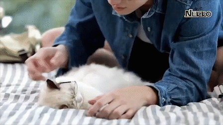 【定期】2gether the seriesについて話そうPart29【タイBL】