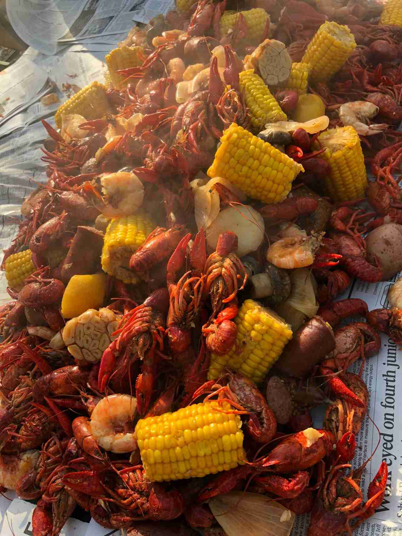 アメリカザリガニを水路に放流　「外に流れた」自然体験の主催者謝罪