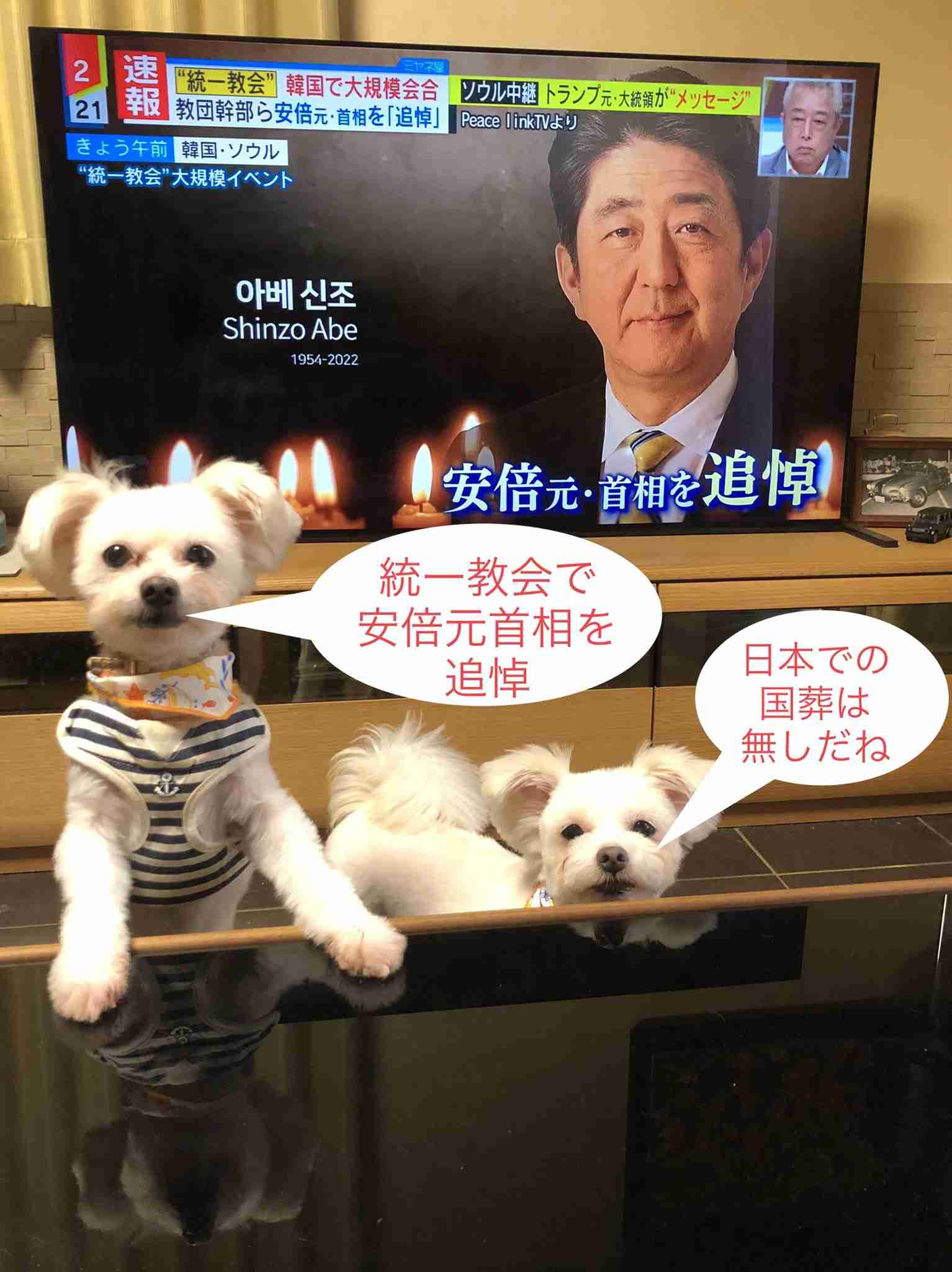 旧統一教会に届く脅迫の手紙やカミソリなどの不審物 臨床心理士「“旧統一教会になら何をしてもいい”という感覚になっている可能性」