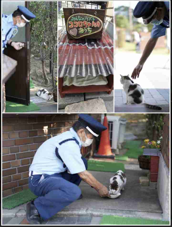 地域猫ってどう思いますか?