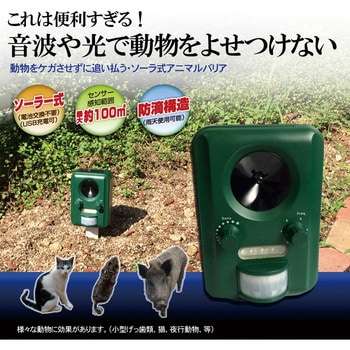 地域猫ってどう思いますか?