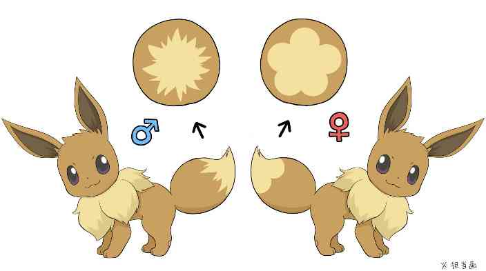 ポケモン詳しくない人がなけなしの知識を披露して補足訂正されるトピ
