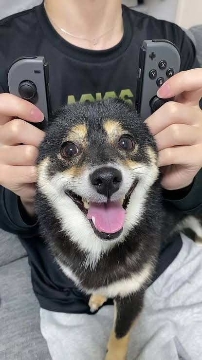 Switchで起きたトラブル